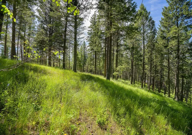 4th image of 345 Chief Cliff Trl, Bigfork, MT 59911 | MLS# 30069969