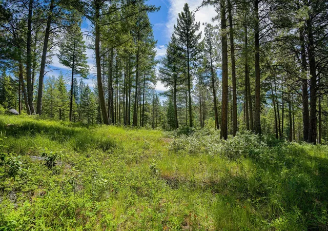 5th image of 345 Chief Cliff Trl, Bigfork, MT 59911 | MLS# 30069969