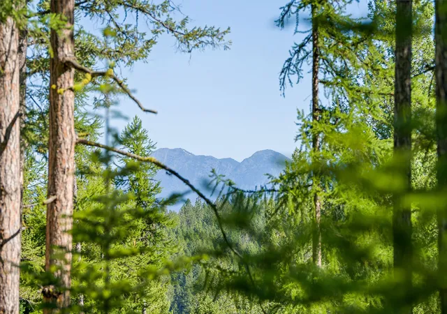 1st image of 385 Saddlehorn Trl, Bigfork, MT 59911 | MLS# 30069962