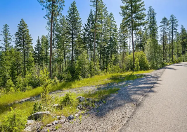 3rd image of 385 Saddlehorn Trl, Bigfork, MT 59911 | MLS# 30069962