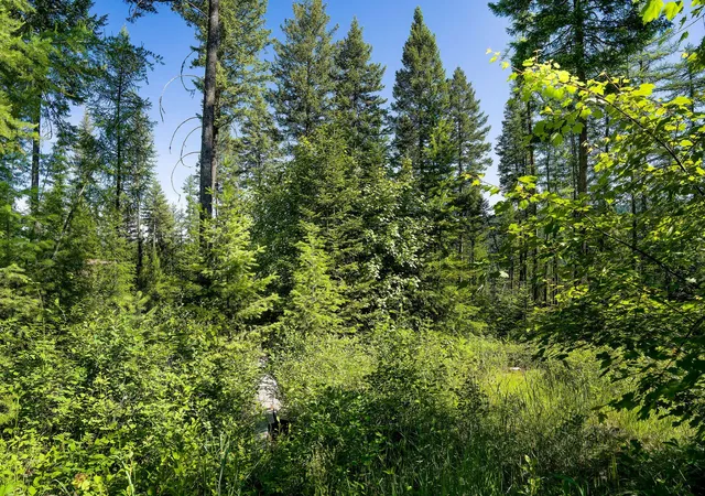 4th image of 385 Saddlehorn Trl, Bigfork, MT 59911 | MLS# 30069962