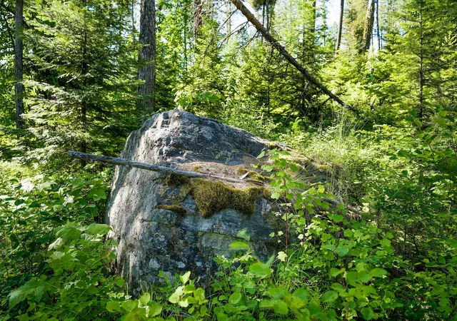 5th image of 385 Saddlehorn Trl, Bigfork, MT 59911 | MLS# 30069962