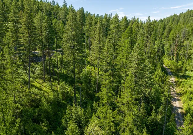 35th image of 173 Timberjack Trl, Bigfork, MT 59911 | MLS# 30069964