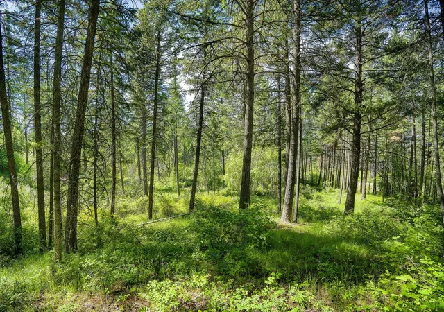 2nd image of 121 Pinto Trl, Bigfork, MT 59911 | MLS# 30069965