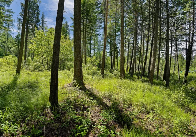 3rd image of 121 Pinto Trl, Bigfork, MT 59911 | MLS# 30069965