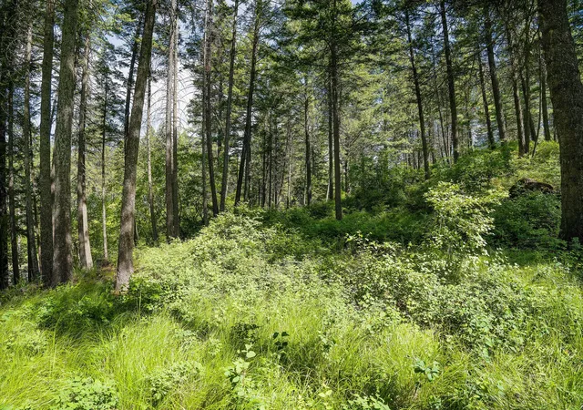 4th image of 121 Pinto Trl, Bigfork, MT 59911 | MLS# 30069965
