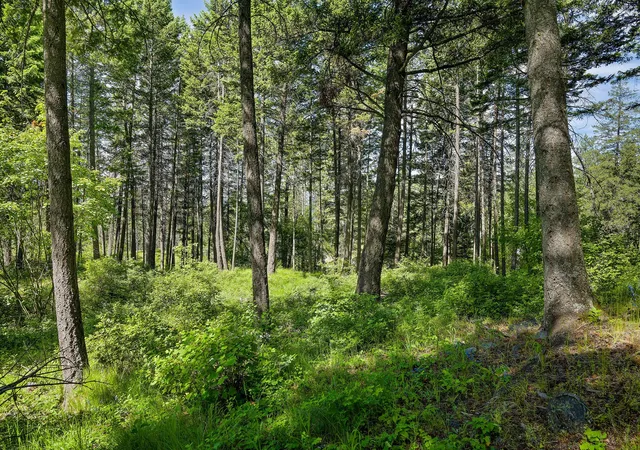 5th image of 121 Pinto Trl, Bigfork, MT 59911 | MLS# 30069965