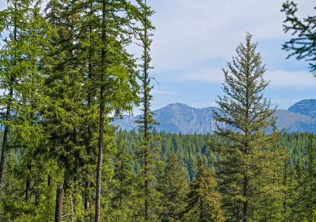 1st image of 429 Chief Cliff Trl, Bigfork, MT 59911 | MLS# 30069966