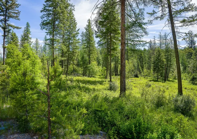 4th image of 429 Chief Cliff Trl, Bigfork, MT 59911 | MLS# 30069966