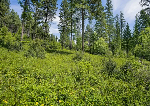 5th image of 429 Chief Cliff Trl, Bigfork, MT 59911 | MLS# 30069966