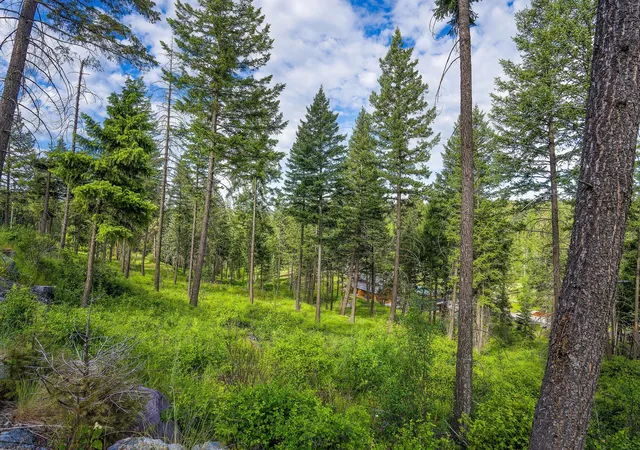 3rd image of 16 Bridle Ct, Bigfork, MT 59911 | MLS# 30069970