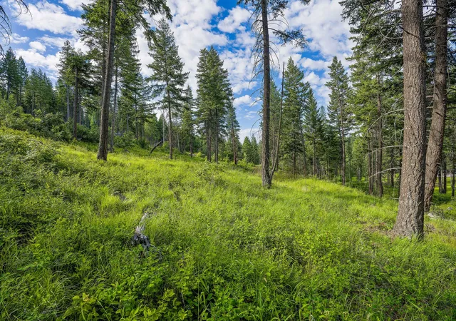 4th image of 16 Bridle Ct, Bigfork, MT 59911 | MLS# 30069970