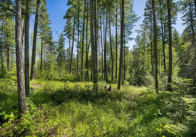 2nd image of 139 Timberjack Trl, Bigfork, MT 59911 | MLS# 30070229