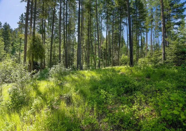 4th image of 139 Timberjack Trl, Bigfork, MT 59911 | MLS# 30070229