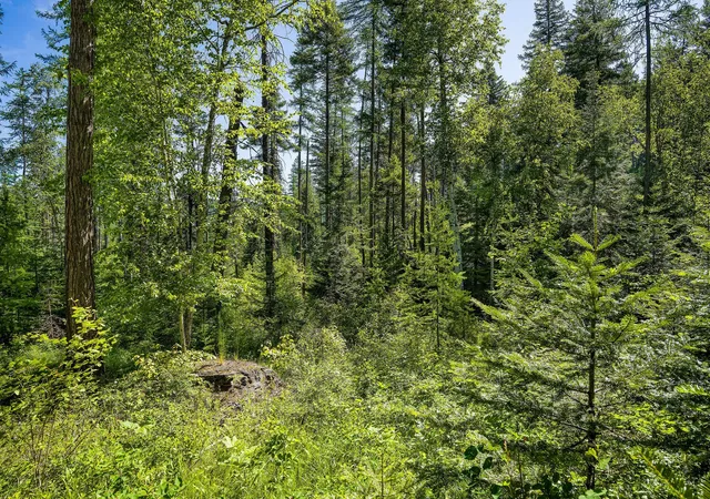 5th image of 139 Timberjack Trl, Bigfork, MT 59911 | MLS# 30070229