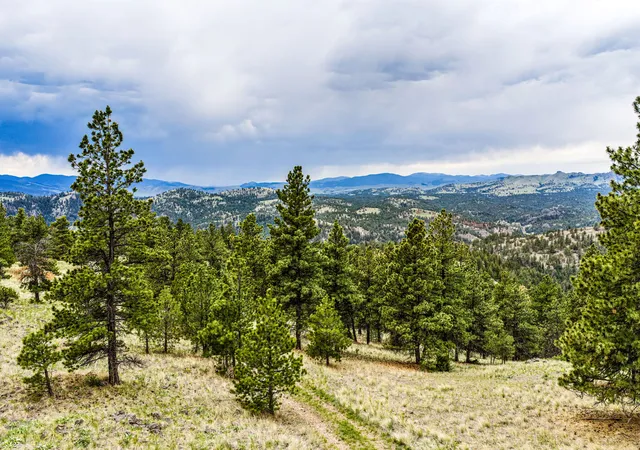 Homes for sale in Cascade, MT | Tbd Ridge Crest Lane, Cascade, MT 59421 | MLS# 30070970