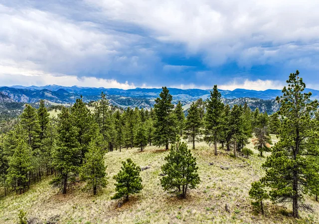 Homes for sale in Cascade, MT | Tbd Ridge Crest Lane, Cascade, MT 59421 | MLS# 30070970