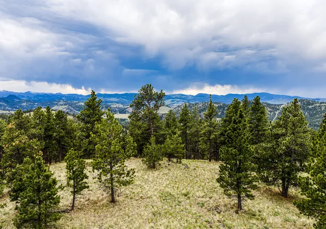 Homes for sale in Cascade, MT | Tbd Ridge Crest Lane, Cascade, MT 59421 | MLS# 30070970