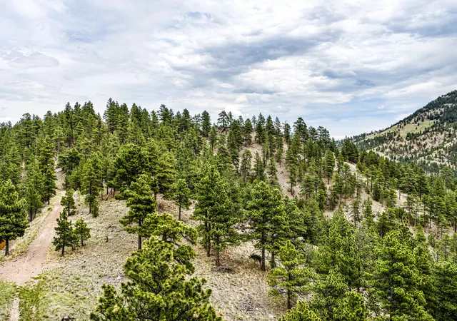 Homes for sale in Cascade, MT | Tbd Ridge Crest Lane, Cascade, MT 59421 | MLS# 30070970