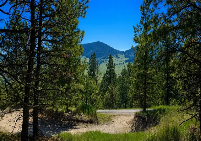 5th image of 28711 Early Dawn Dr, Elmo, MT 59915 | MLS# 30071160