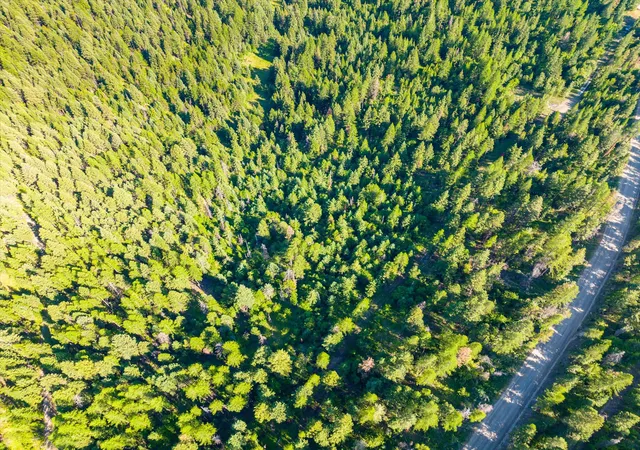 17th image of 2255 Ashley Lake Rd, Kalispell, MT 59901 | MLS# 30070400