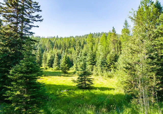 5th image of 2255 Ashley Lake Rd, Kalispell, MT 59901 | MLS# 30070400