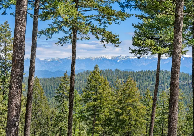 4th image of 156 Goldenview Ln, Lakeside, MT 59922 | MLS# 30070439