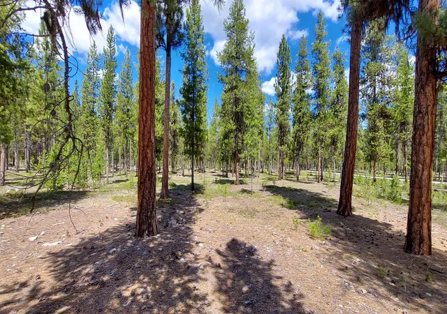 15th image of Nhn (parcel C) Deer Walk Wy, Darby, MT 59829 | MLS# 30071278