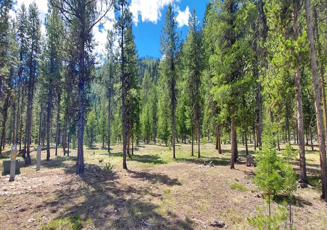 1st image of Nhn (parcel D) Deer Walk Wy, Darby, MT 59829 | MLS# 30071275