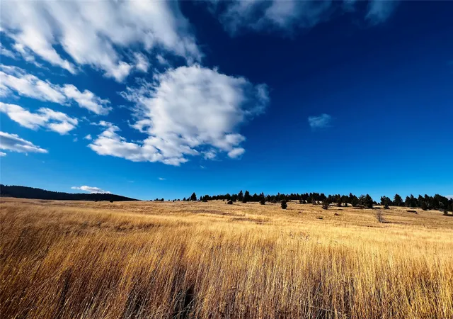 Homes for sale in Livingston, MT | Tbd Livingston Peak Rd, Livingston, MT 59047 | MLS# 30071308