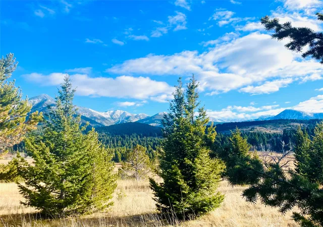 Homes for sale in Livingston, MT | Tbd Livingston Peak Rd, Livingston, MT 59047 | MLS# 30071308