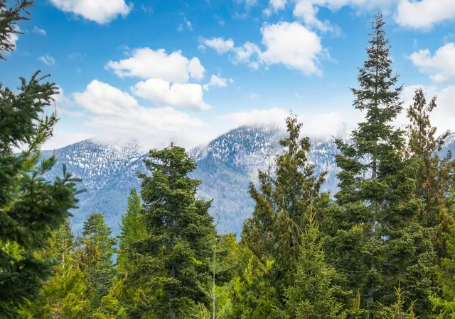 image of 30612 Three Turtle Crossing, Bigfork, MT 59911 | MLS# 30071059