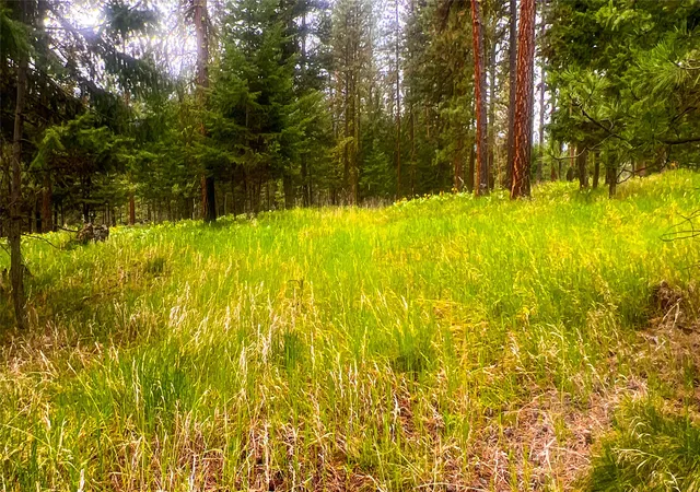 37th image of Nhn Nighthawk Dr, Frenchtown, MT 59834 | MLS# 30070722