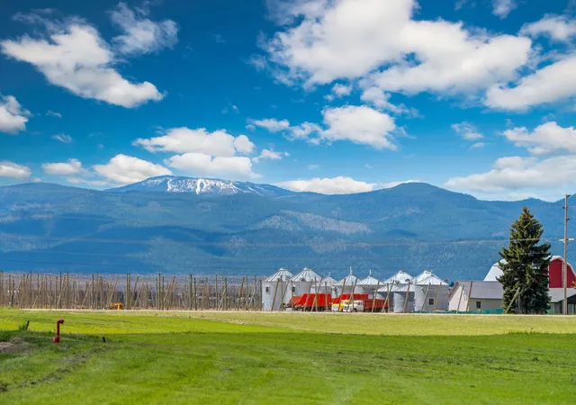 Homes for sale in Kalispell, MT | 328 Scarface Peak Ct, Kalispell, MT 59901 | MLS# 30070921