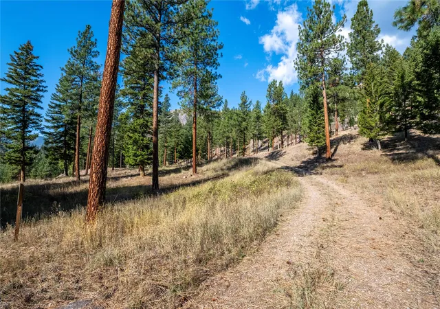 Homes for sale in Clinton, MT | 14311 Muddler Ct, Clinton, MT 59825 | MLS# 30071287