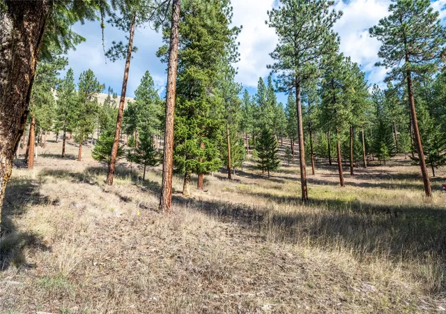 Homes for sale in Clinton, MT | 14311 Muddler Ct, Clinton, MT 59825 | MLS# 30071287