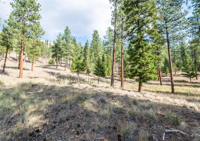 Homes for sale in Clinton, MT | 14311 Muddler Ct, Clinton, MT 59825 | MLS# 30071287