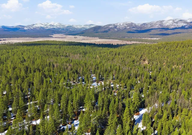 5th image of 875 Hidden Treasure Court Court, Bonner, MT 59823 | MLS# 30071168