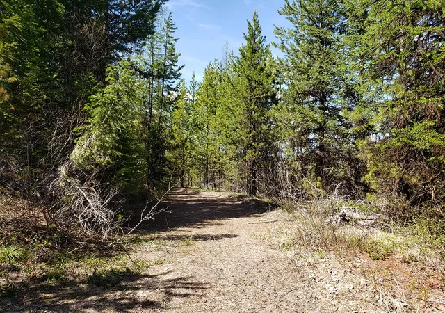 Homes for sale in Huson, MT | Tract 10 Ida Lode Nine Mile Rd, Huson, MT 59846 | MLS# 30071388