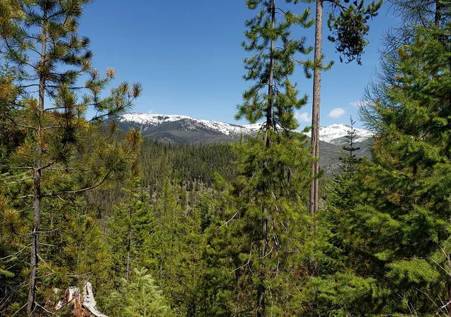 Homes for sale in Huson, MT | Tract 10 Ida Lode Nine Mile Rd, Huson, MT 59846 | MLS# 30071388