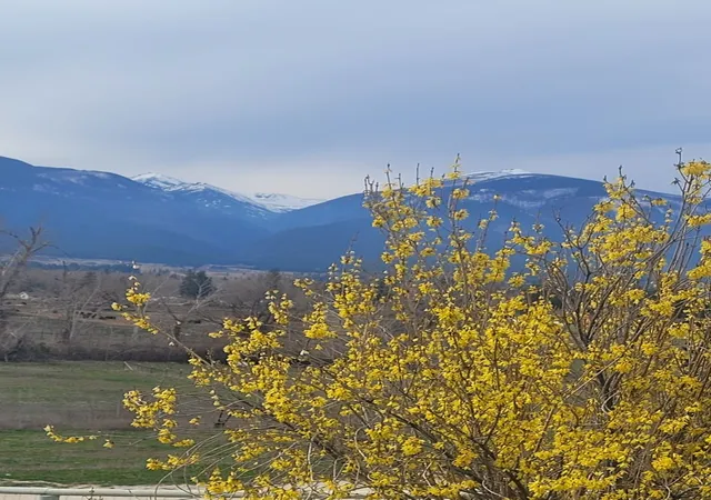 71st image of 4721 Teddy Bear Ln, Stevensville, MT 59870 | MLS# 30070050