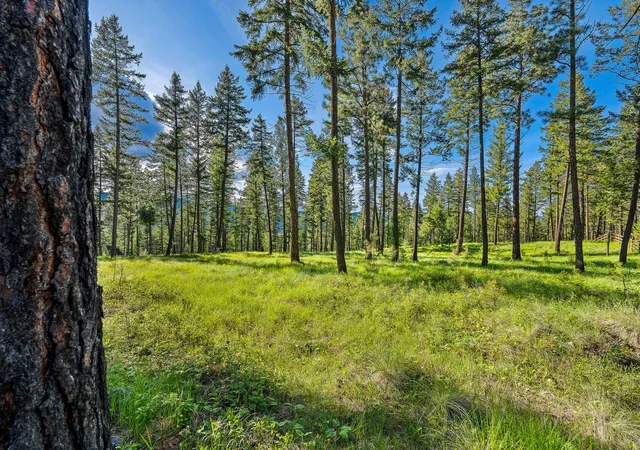 2nd image of 159 Looking East Dr, Somers, MT 59932 | MLS# 30070113