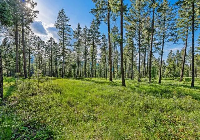 5th image of 159 Looking East Dr, Somers, MT 59932 | MLS# 30070113