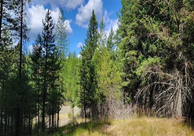 1st image of 1280 Rogers Lake Rd, Kila, MT 59920 | MLS# 30069718