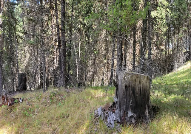 2nd image of 1280 Rogers Lake Rd, Kila, MT 59920 | MLS# 30069718