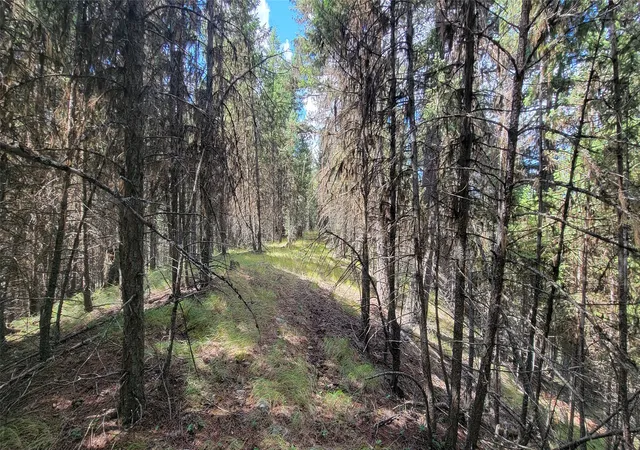 3rd image of 1280 Rogers Lake Rd, Kila, MT 59920 | MLS# 30069718
