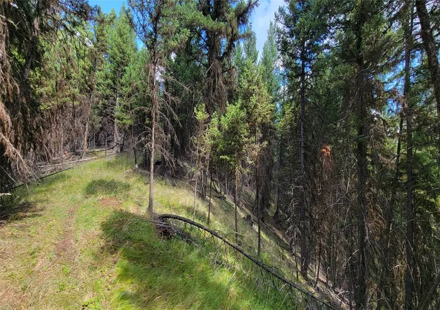 4th image of 1280 Rogers Lake Rd, Kila, MT 59920 | MLS# 30069718