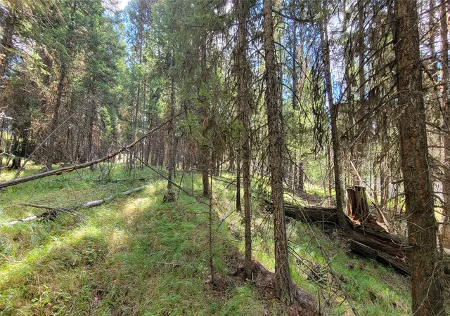 5th image of 1280 Rogers Lake Rd, Kila, MT 59920 | MLS# 30069718
