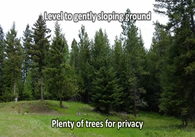 2nd image of 84 Treasure Mountain Ln, Libby, MT 59923 | MLS# 30069741