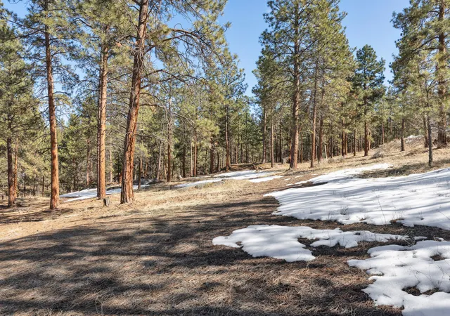 3rd image of 1437 Stock Farm Rd, Hamilton, MT 59840 | MLS# 30071495